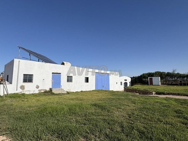 Grand terrain et ferme