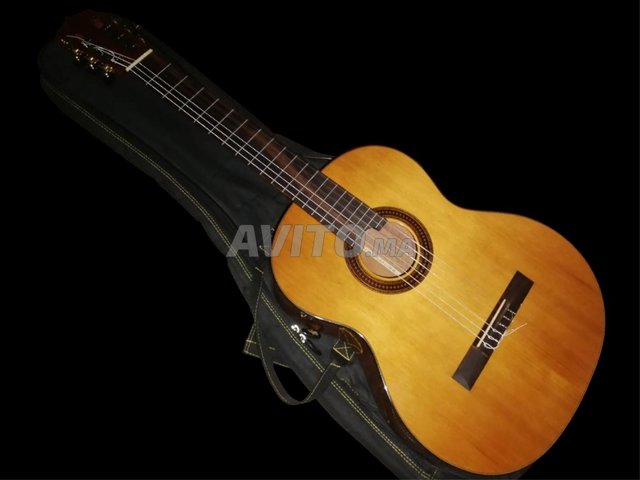 غيتار كلاسيكي احترافي Martinez