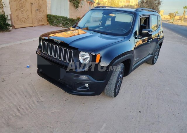 جيب رينيجيد