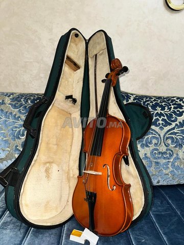 Kamanja professionnel palatino pochette Bein