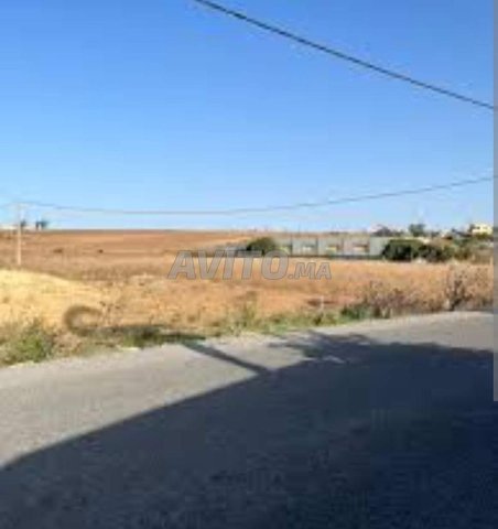 1h type BT1 dar bouazza