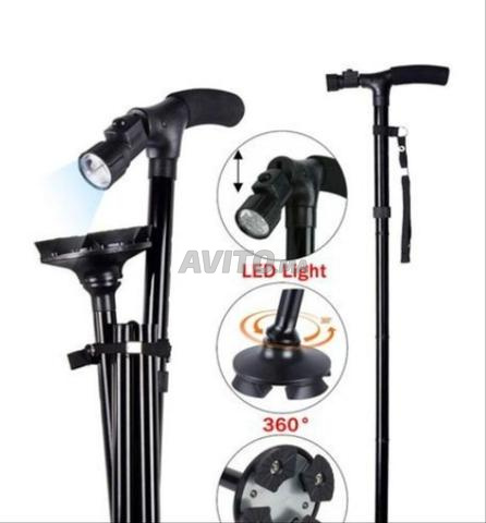 Bâton de marche (canne) - 2