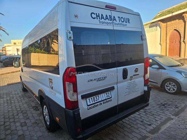 Fiat Ducato à Essaouira