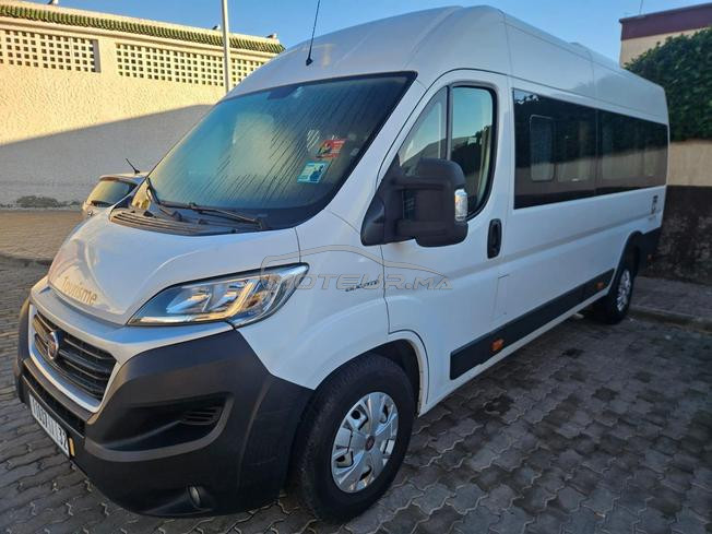 Fiat Ducato à Essaouira
