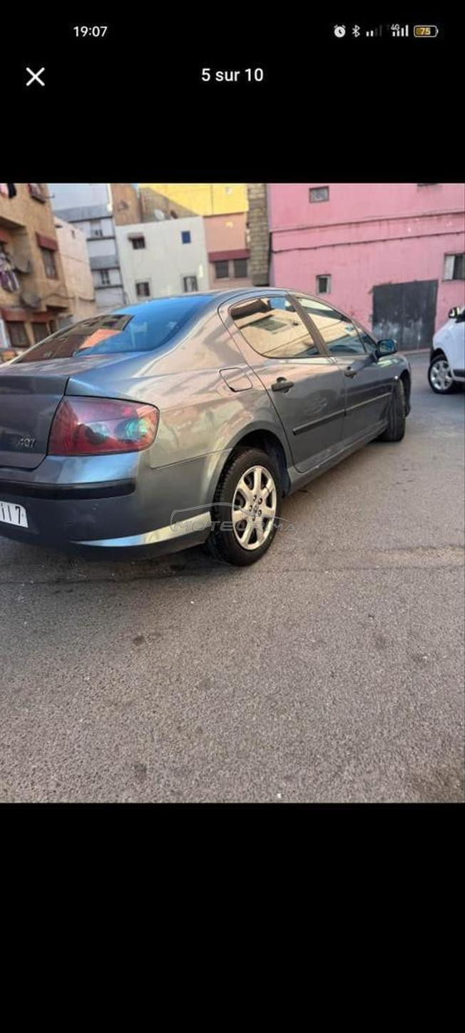 Peugeot407