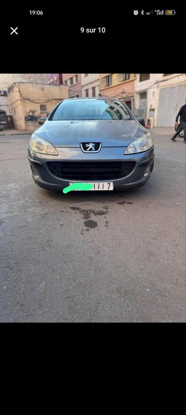 Peugeot407