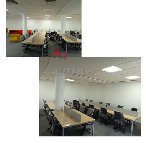 صناعة ديز مارغريت حسب الطلب