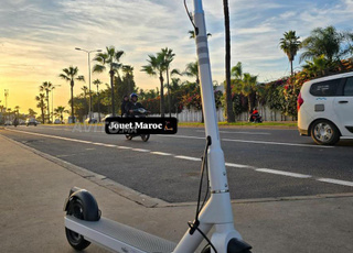 TROTTINETTE OKAI LITE ES10