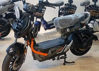 سكوتر كهربائي TAILG SUMMER