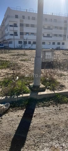 Terrain à vendre à Tagssiaa Sid Larbi 2fas Commerce