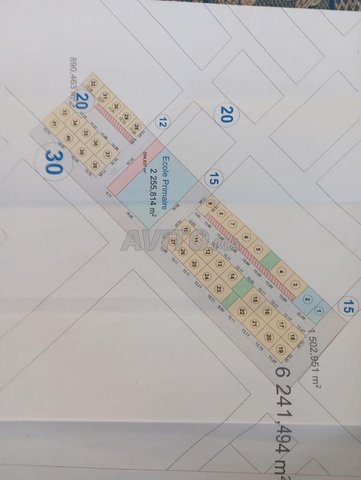 Terrain à vendre lotissement