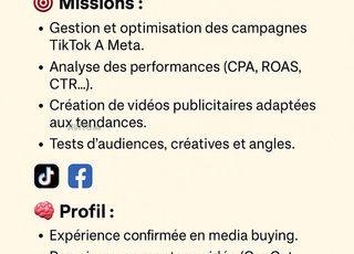 Offre d’emploi Media Buyer Video Editor