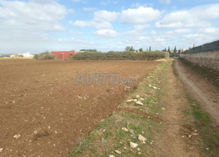 أرض للبيع موقع ممتاز جماعة أولاد رحمون