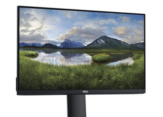 Lot 2x Écrans DELL P2419H 24