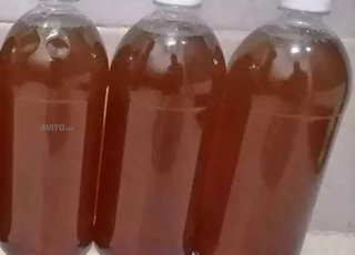 Miel d'eucalyptus pur