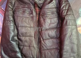 جاكيت جاكيت زارا بريميوم M