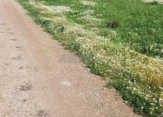 أرض محفظة للبيع تطوان