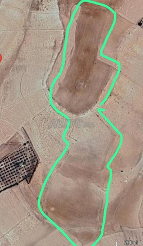 Terrain agricole à vendre près de Oued Zem (commune de Brakssa)