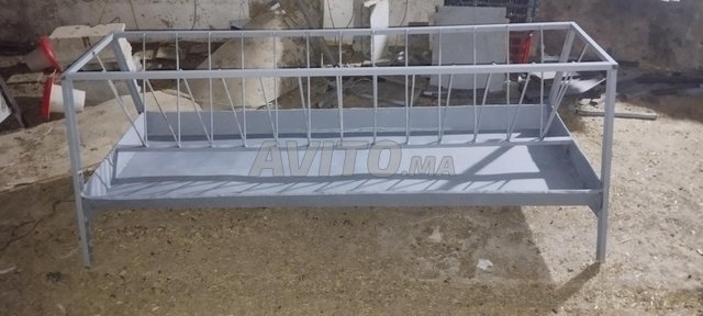 Relation mouton voisin agneaux