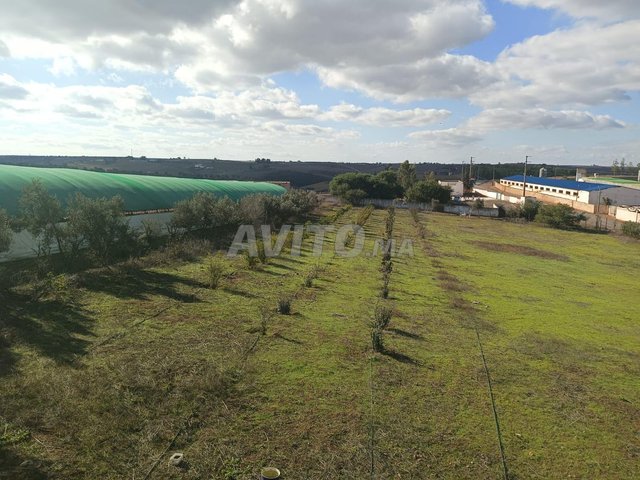 Ferme à vendre sidi Yahya Zaer