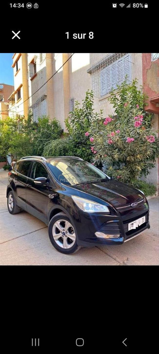 kuga