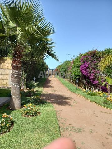 Ferme à vendre Dar Bouazza, rue Moulay Thami, zone industrielle