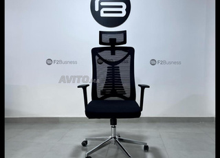 Chaise de bureau professionnelle - Support dorsal