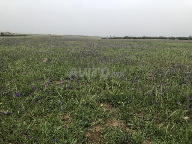 Terrain de 3100M titré au centre de ville