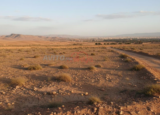 Vente Terrain nu de 11900 m2 à Marrakech