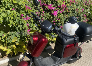 Moto électrique luqi