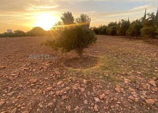 Terrain Titré Agricole à Vendre 12 000 m²