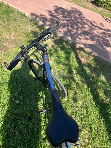 دراجة تريبان كاربون