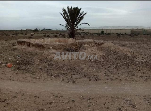 Terrain de 10900m² pour tous projets, villa, agriculture ou industrie - 2