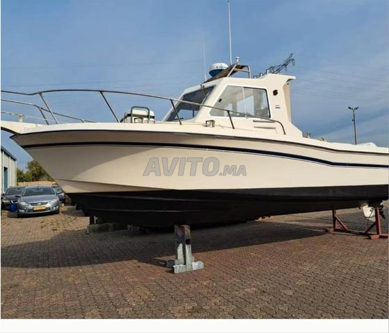 Grady White Explorer 24 Moteur Evinrude E-tec225hp - 2