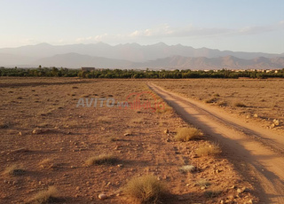 Vente Terrain nu de 20000 m2 à Marrakech