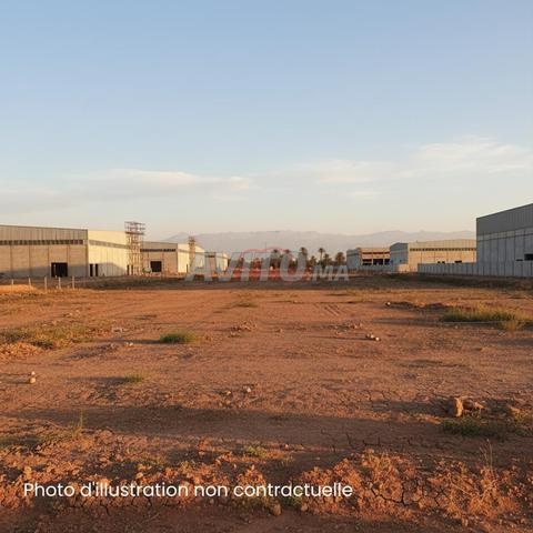 Vente Terrain nu de 335 m2 à Tamensourt