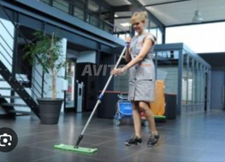 Nounou ménage cuisine