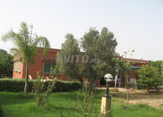 TERRAIN TITRE 6800M UNE SEULE PERSONNE