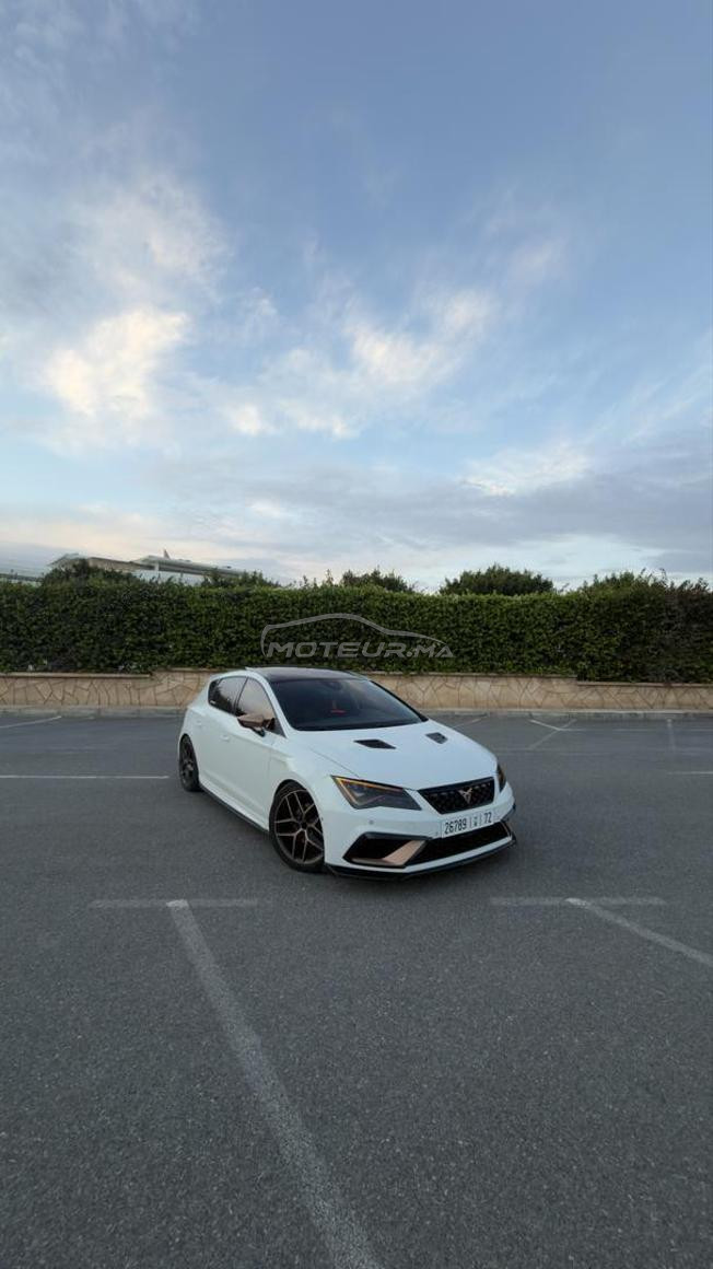 seat leon fr anniversary