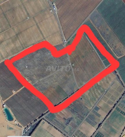 Ferme pour arbres fruitiers