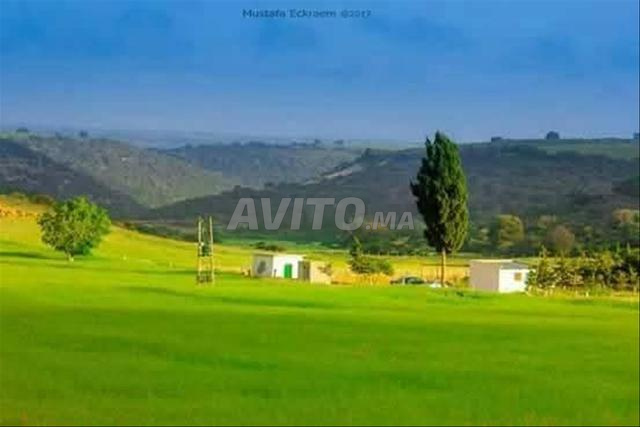 Terrains agricoles d'une superficie totale de 8 hectares