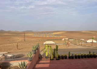 Terrain titré à Marrakech