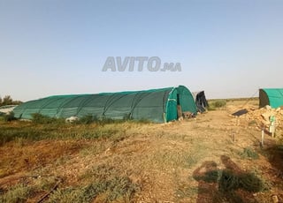 Opportunité d'investissement ferme équipée 1.hectare avec puits et système d'irrigation