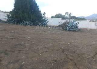 🔥 Opportunité terrain melkia prêt à vendre près de Tétouan