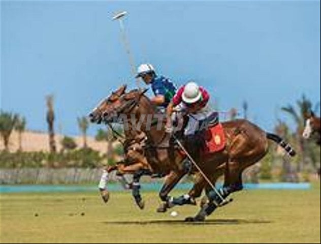 Terrains vue sur mer à Asilah
