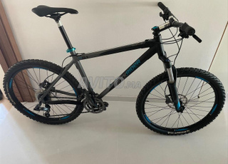 VTT robuste et élégant