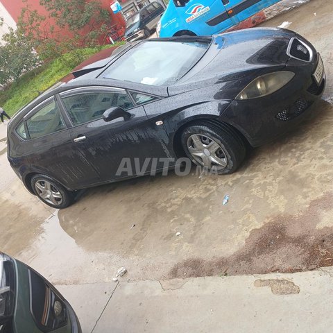 سيات ليون تيميتا ايني تنيني