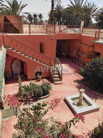 maison traditionnelle en pisé dans oasis