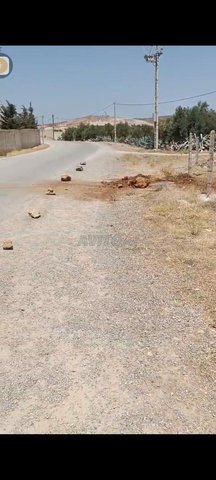 على طريق الرابط بين البهاليل صفرو