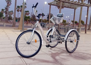 الدراجة الثلاثية